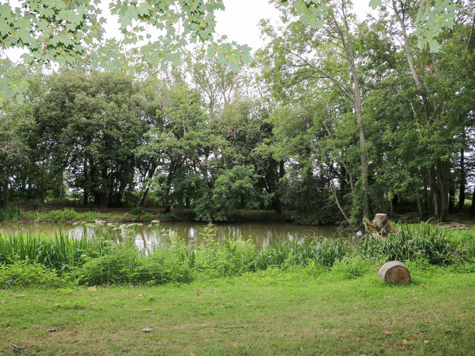 A pond surrounded by trees and grass at Daisy Cottage Pevensey