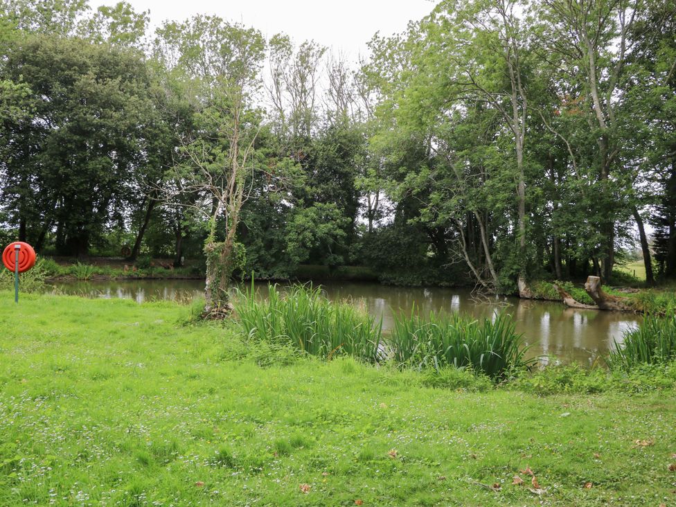 A pond surrounded by grass and trees at Daisy Cottage Pevensey