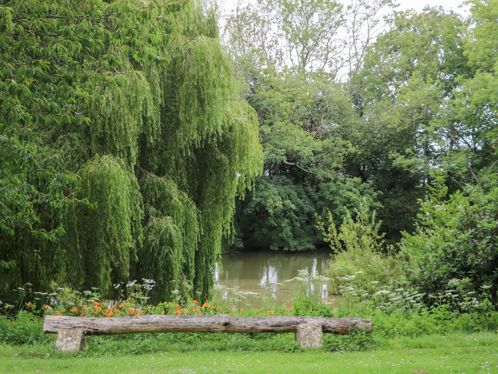 A log bench near a pond with a willow tree at Daisy Cottage Pevensey