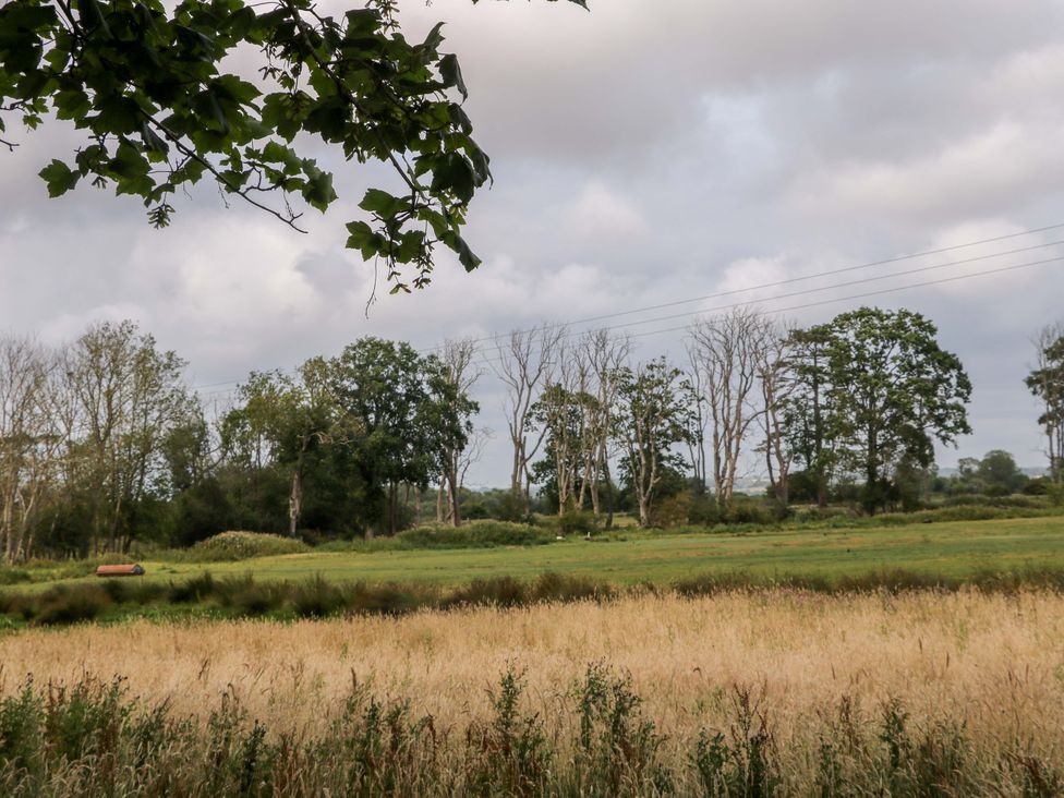A field with trees and cloudy sky at Daisy Cottage in Pevensey