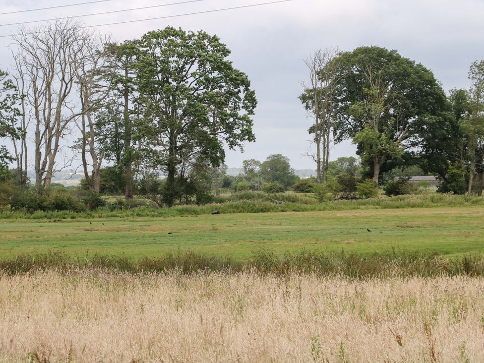 A field with trees and grass at Daisy Cottage Pevensey