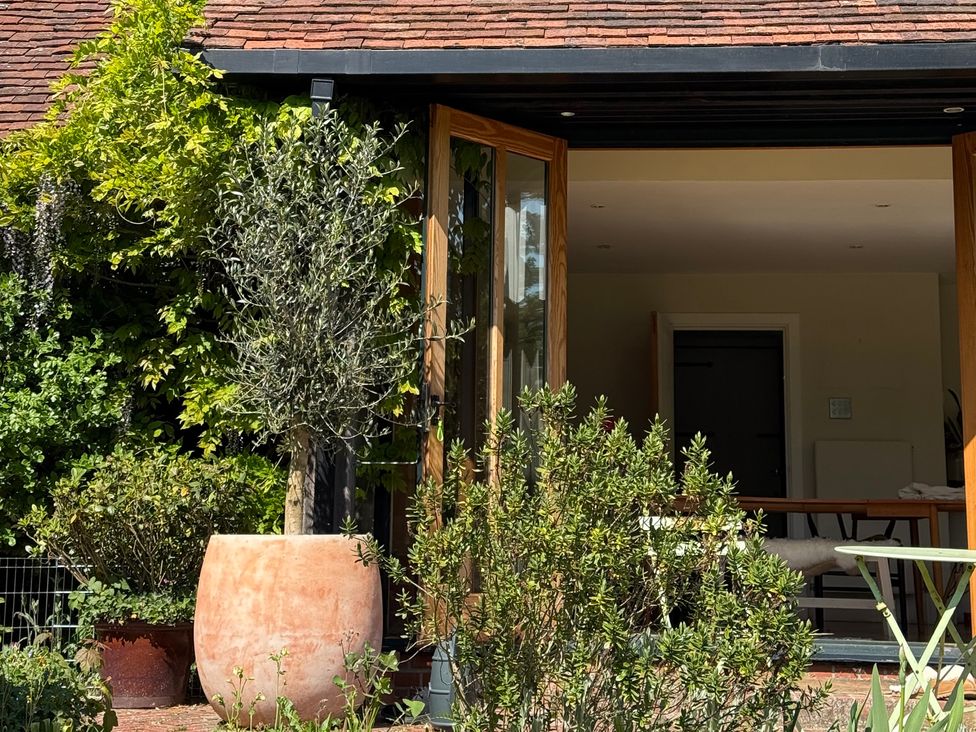 An outdoor area with a planter and olive tree at Headland Barn Maldon