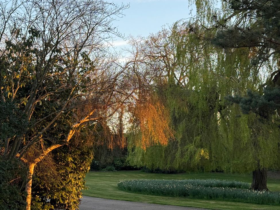 A garden with trees and flowers at Headland Barn in Maldon