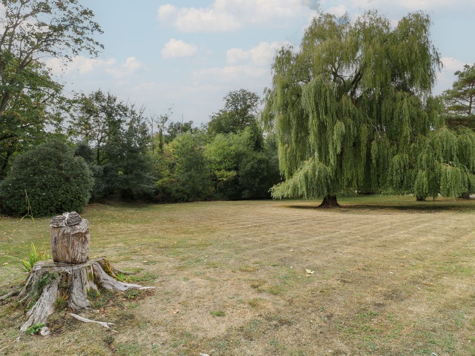 A grassy area with a wooden stump and a tree at Headland Barn in Maldon