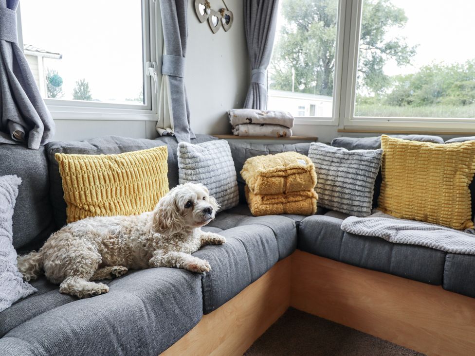 A living room with a dog on a sofa at 31 Castle View in Lincoln