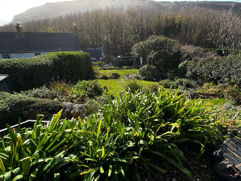 A garden with various plants and flowers at 1 Rowes Cottages, Porthgwarra