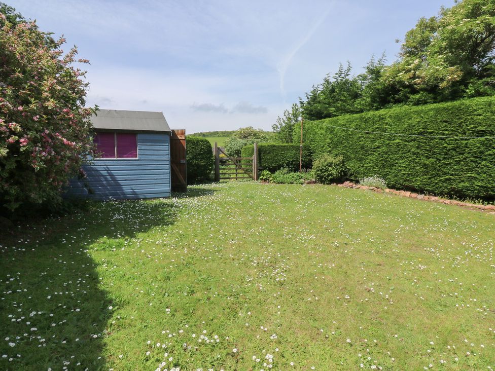 A garden with a shed, grass, and a gate at 13 School Road, Newton Abbot