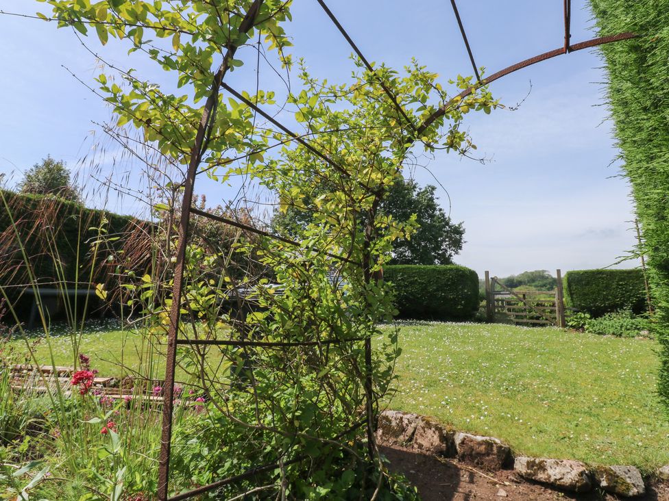 A garden with a trellis and grass at 13 School Road Newton Abbot