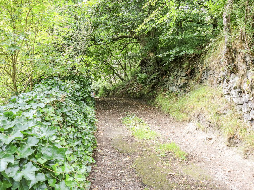 A pathway surrounded by trees and ivy at The Vista in Hebden Bridge