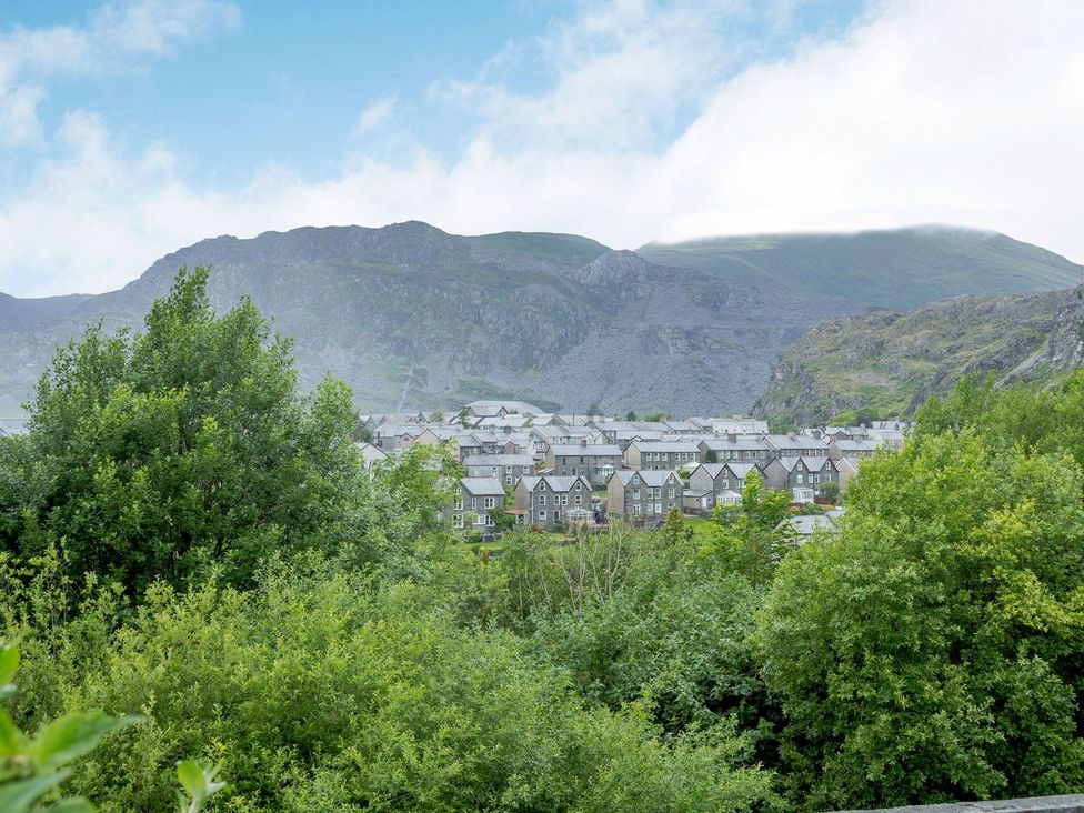 A view of houses and trees with mountains in the background at Brondderwen 