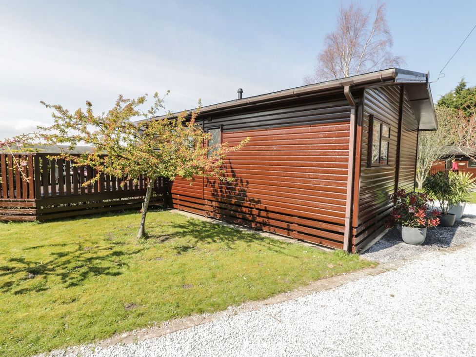 An outdoor image showing a wooden structure and a tree at Alpine Lodge in Rhyd-y-Foel near Abergele