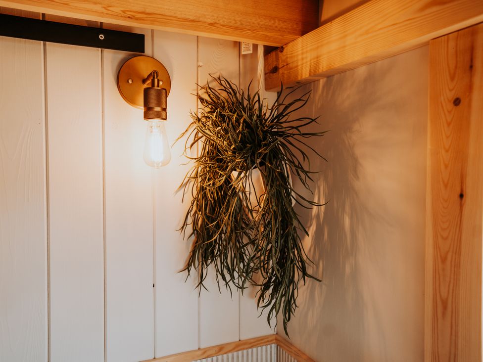 A light fixture and plant on the wall at Driftwood, Carreglefn near Llanfechell