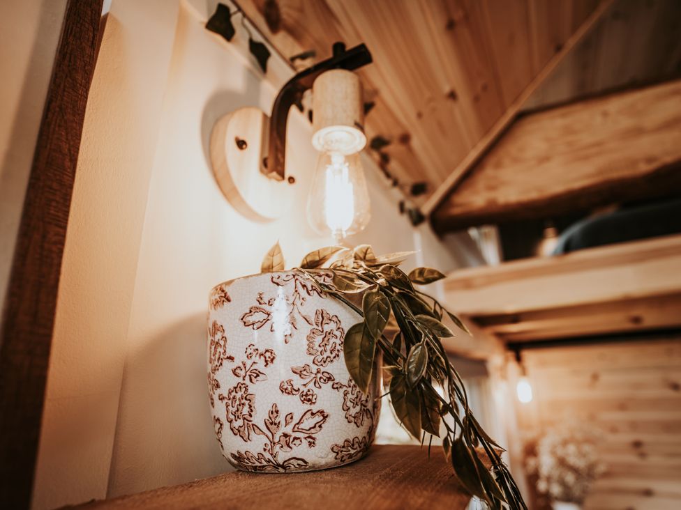 A plant pot and light fixture on a shelf at Rowan in Carreglefn near Llanfechell