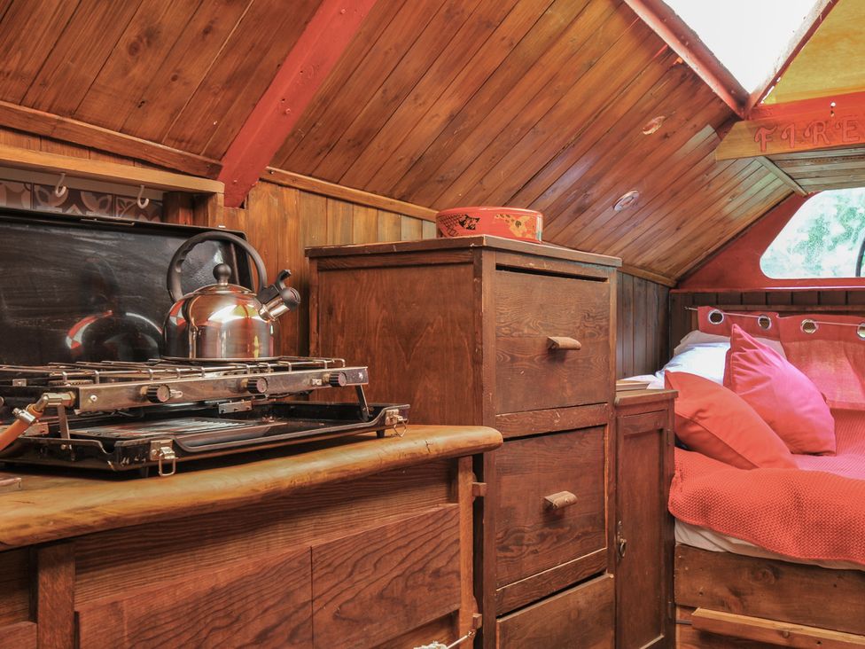 Dashing Dennis - 22 - Devon - 1179961 - thumbnail photo 6
