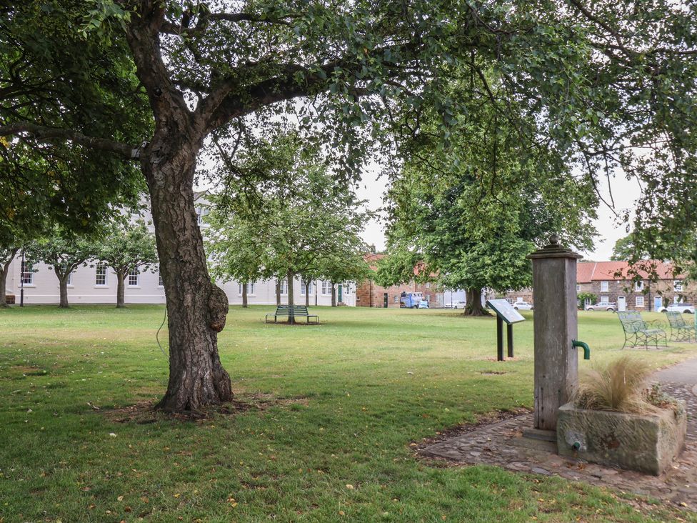 A park with a tree and bench at Postman’s Lodge in Great Ayton
