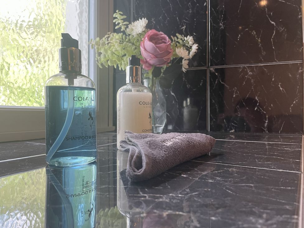 A bathroom with shampoo and conditioner bottles on a countertop at DeCressy Apartment in Par
