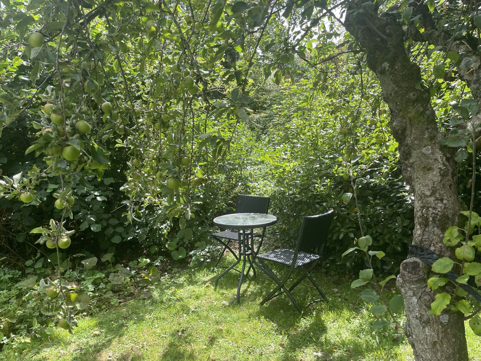 A garden with a table and chairs under an apple tree at DeCressy Apartment in Par