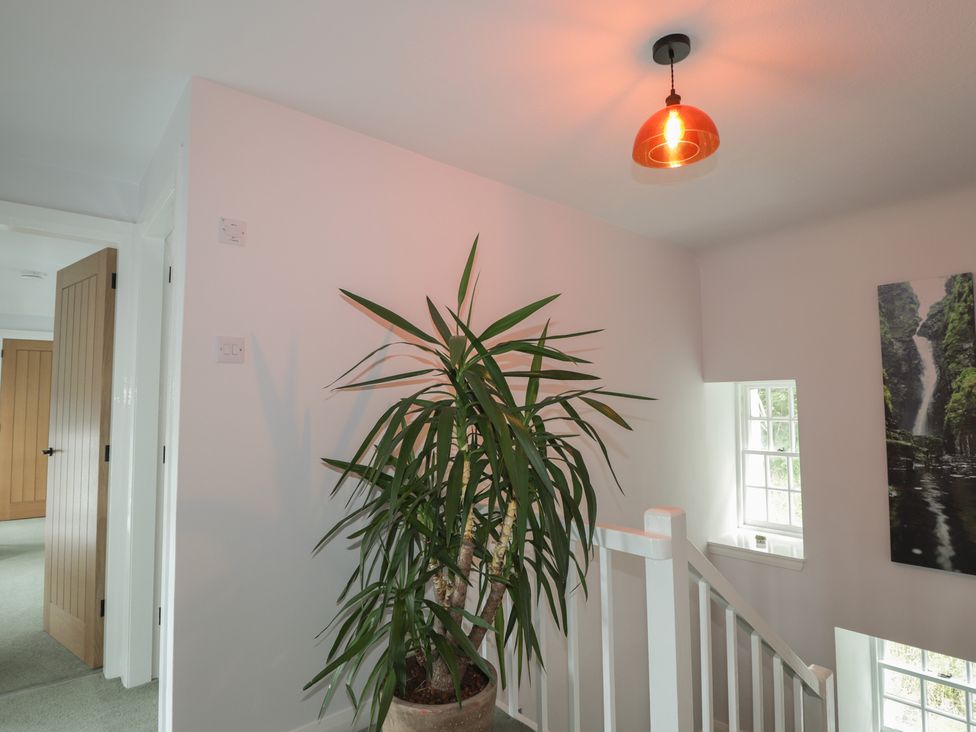 A hallway with a plant and light fixture at Sron Dubh in Achnasheen