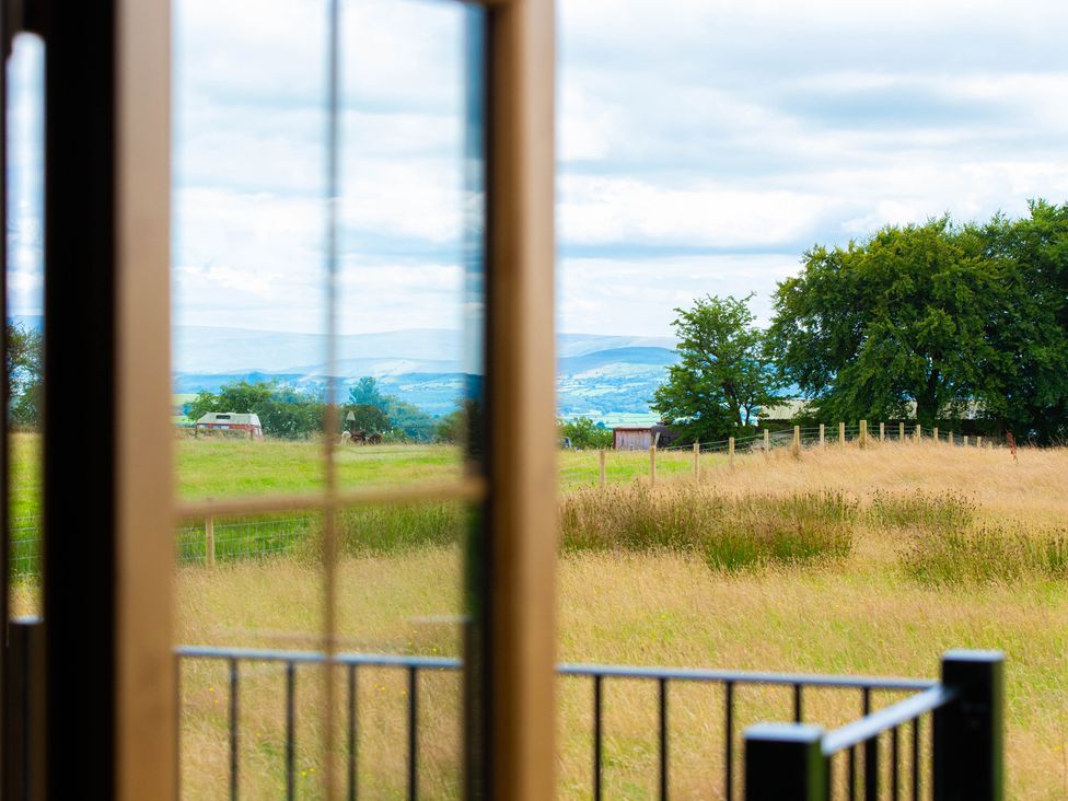A view of a grassy field with trees from a window at Head For the Hills Glamping - Skylark Shepherd's Hut