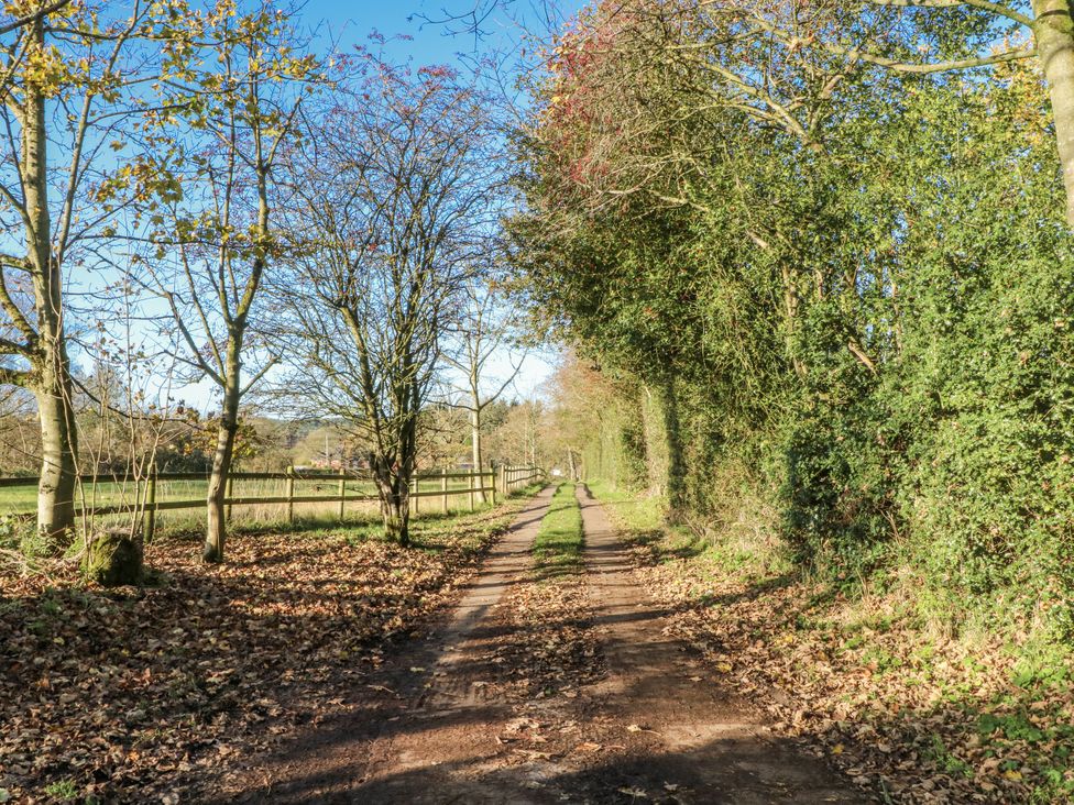 A pathway bordered by trees and a fence at The Annexe in Caverswall
