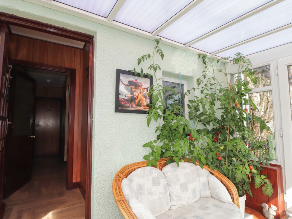 A conservatory with a sofa and plants at The Highlander in Dornie