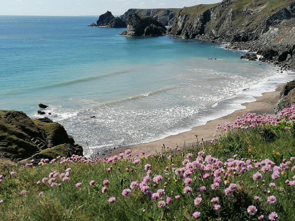 A beach view with ocean, sand, rocks, and flowers at Mill House Barn in 