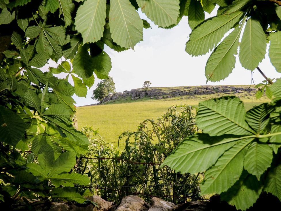 A view of a hillside through leaves at Rockhurst Farm near Winster