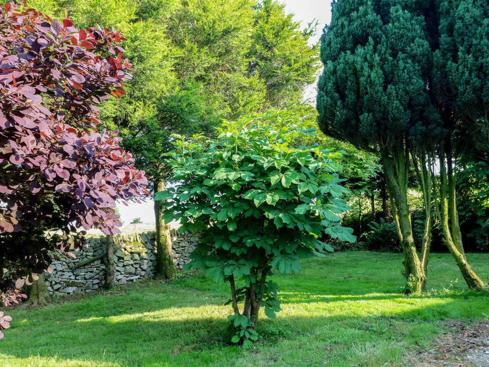 A garden with trees and a stone wall at Rockhurst Farm near Winster