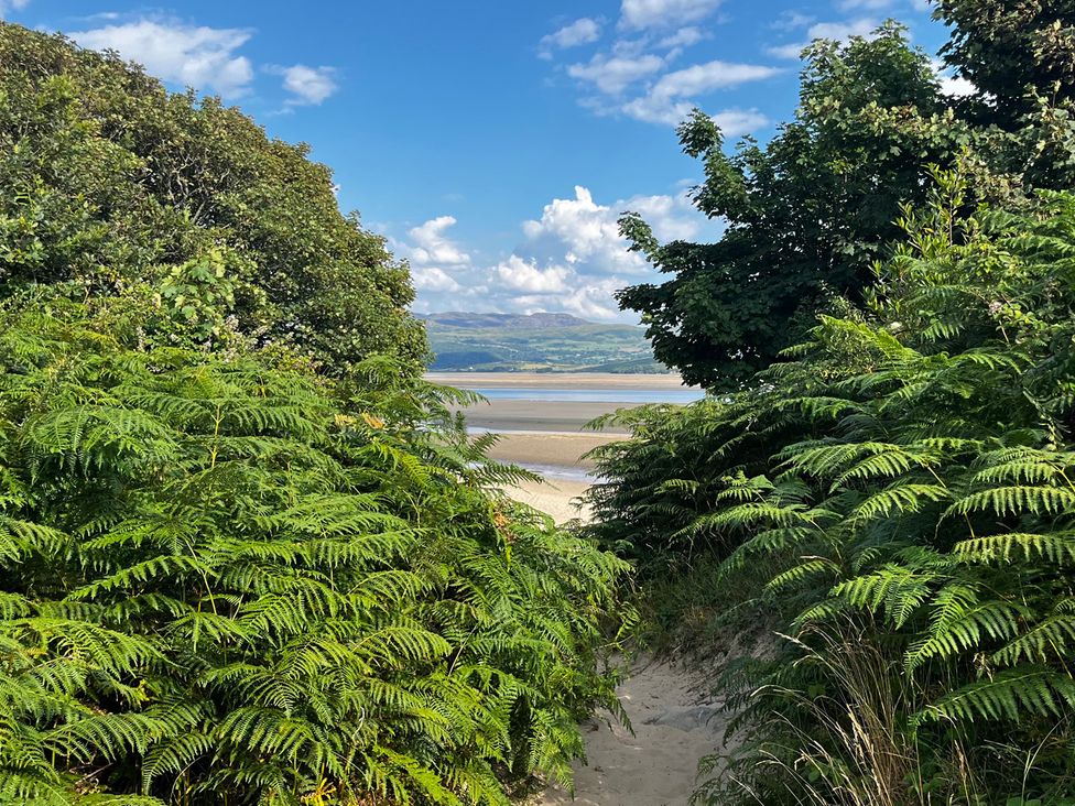 A pathway through ferns leading to a beach at Hafod Y Graig Morfa Bychan