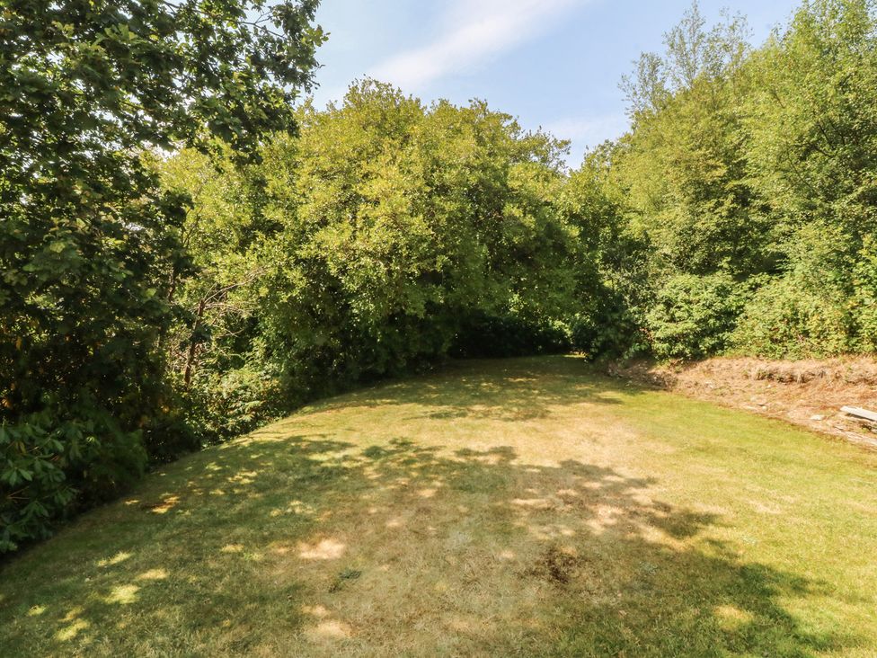 A garden with grass and trees at Seaview Hafod Y Graig in Morfa Bychan