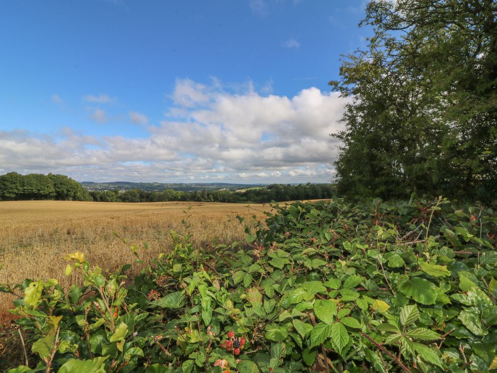 A field with trees and bushes under a cloudy sky at Bell Tent Three