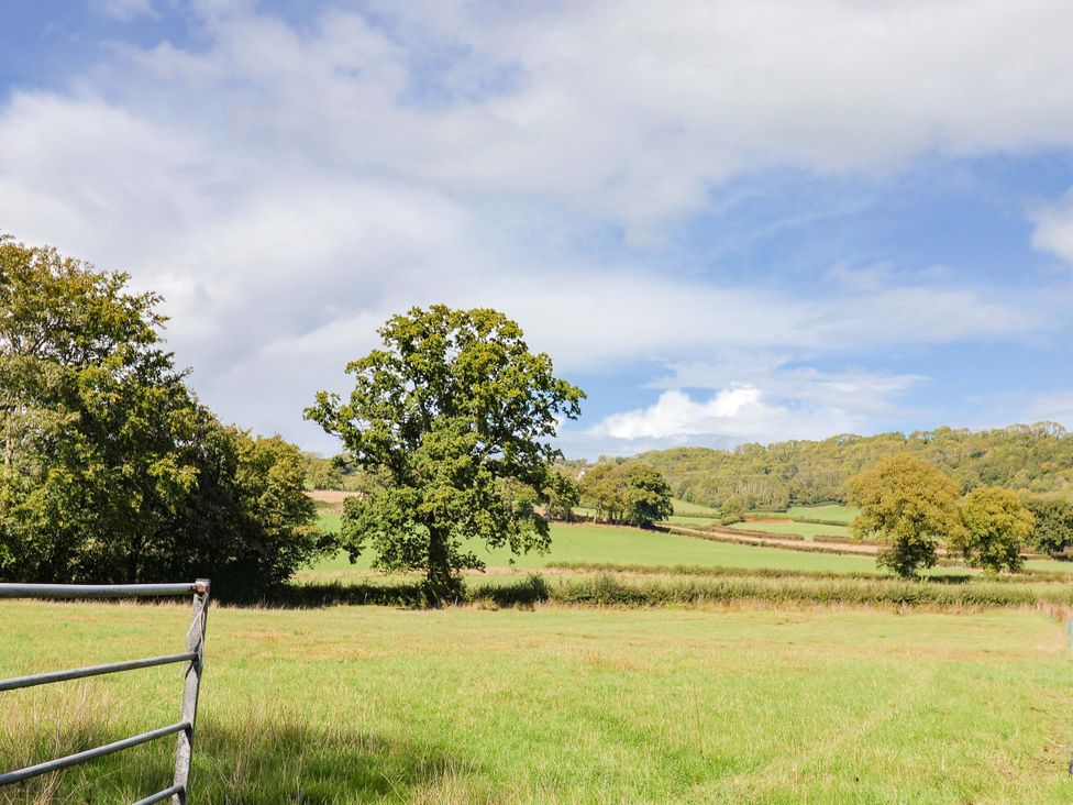 A field with trees and hills at The Cottage Middle Westwater Westwater Nr Axminster