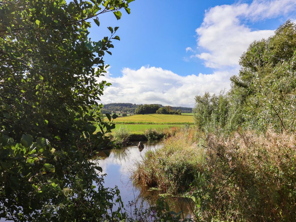 A view of a stream surrounded by greenery and fields at The Cottage Middle Westwater Westwater Nr Axminster