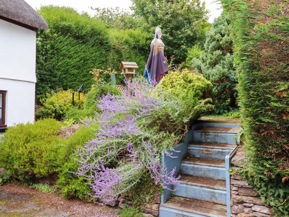 Cosy Nook - Devon - 1180181 - thumbnail photo 29