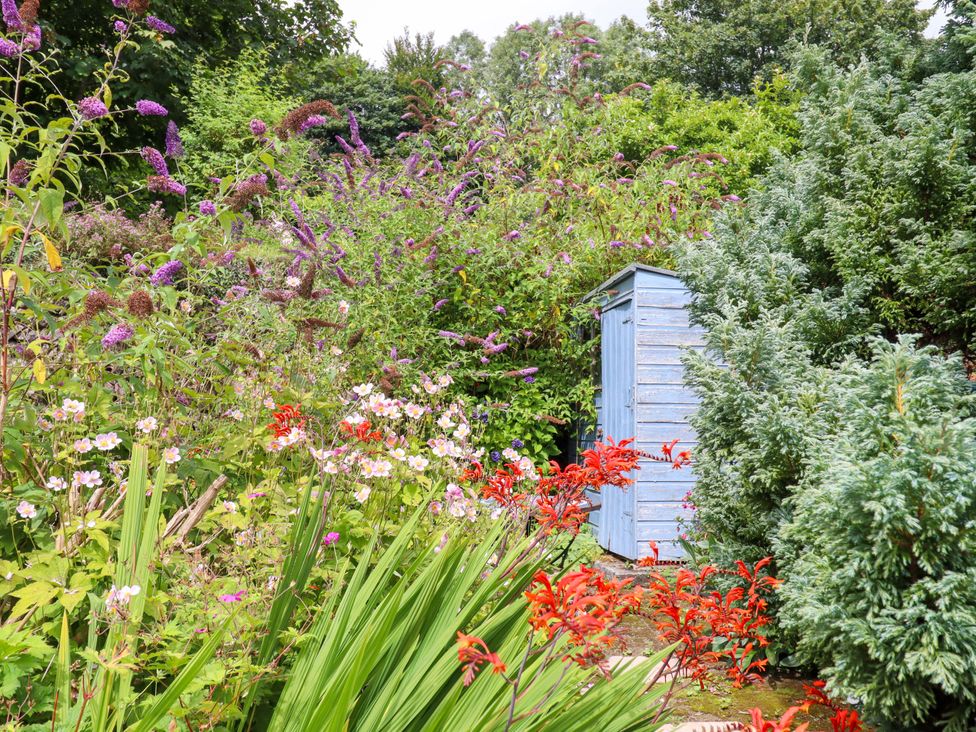 A garden with various flowers and a blue shed at Cosy Nook in South Molton