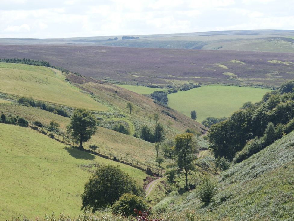 A landscape with rolling hills and fields at Woodedge Minehead