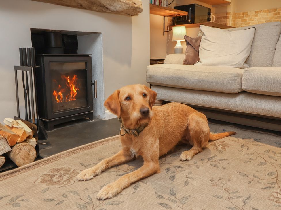 A living room with a dog in front of a fireplace at Woodedge in Porlock