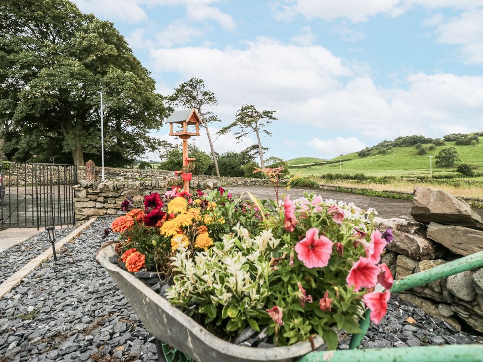 A wheelbarrow with flowers in a garden at Holy Trinity Cottage in Millom