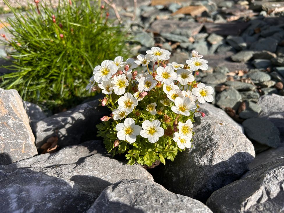 No.51 Llanteg Park - South Wales - 1180253 - thumbnail photo 15