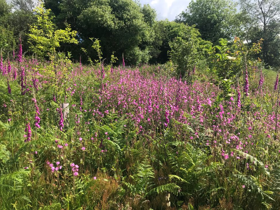 No.51 Llanteg Park - South Wales - 1180253 - thumbnail photo 23