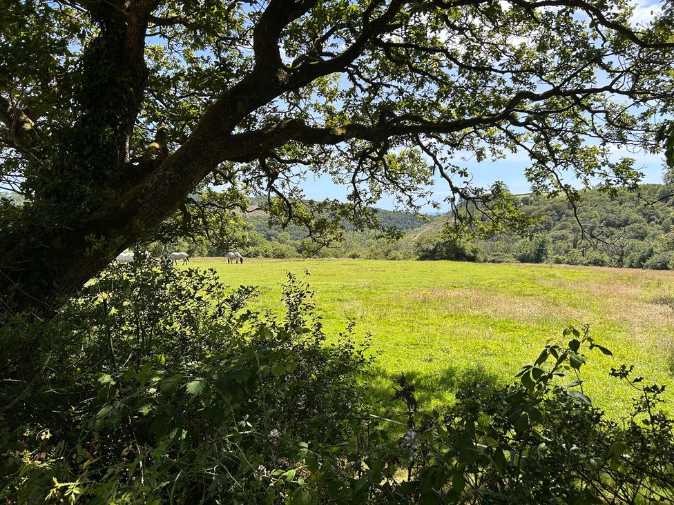 A field with horses in the distance at 51 Llanteg Park Amroth