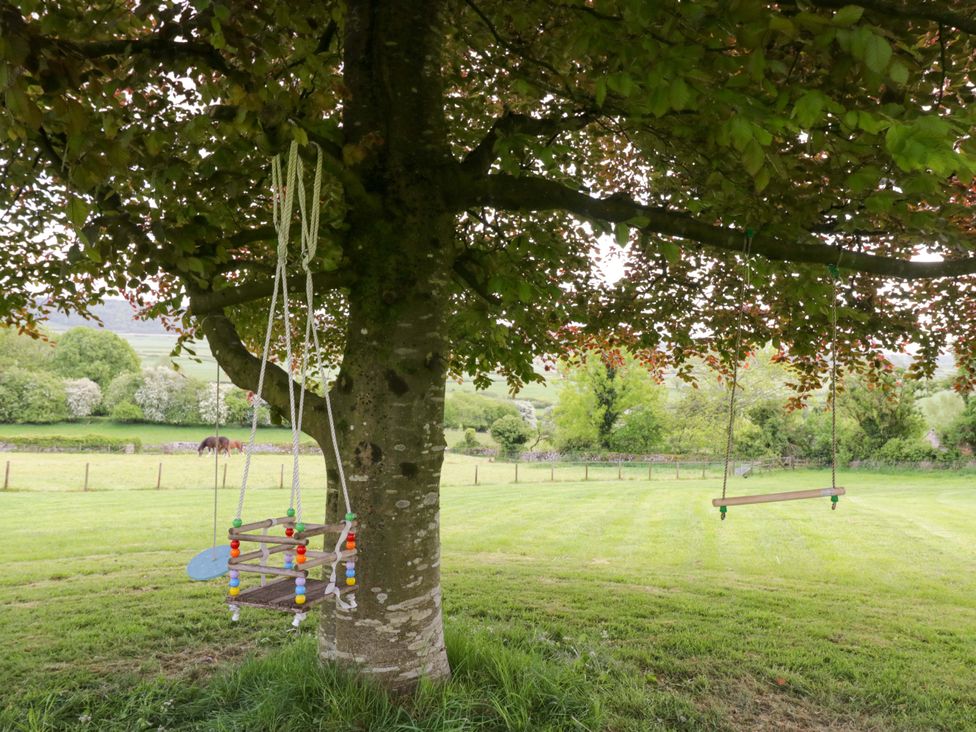 A tree with a swing and play structure in a grassy area at Barn Howe Lyth near Levens