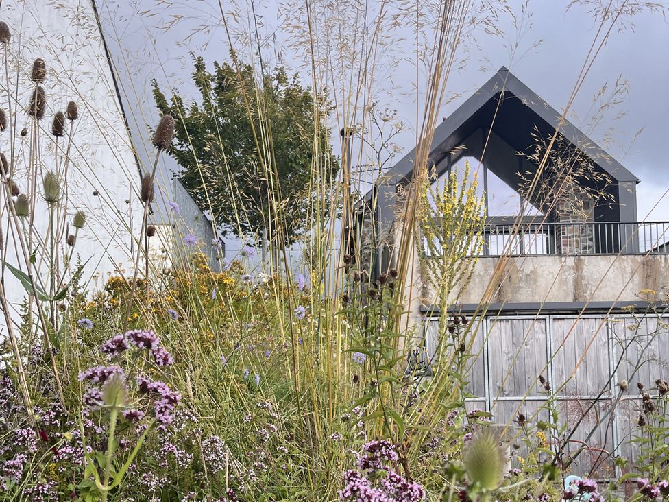 The Barn - South Wales - 1180259 - thumbnail photo 44