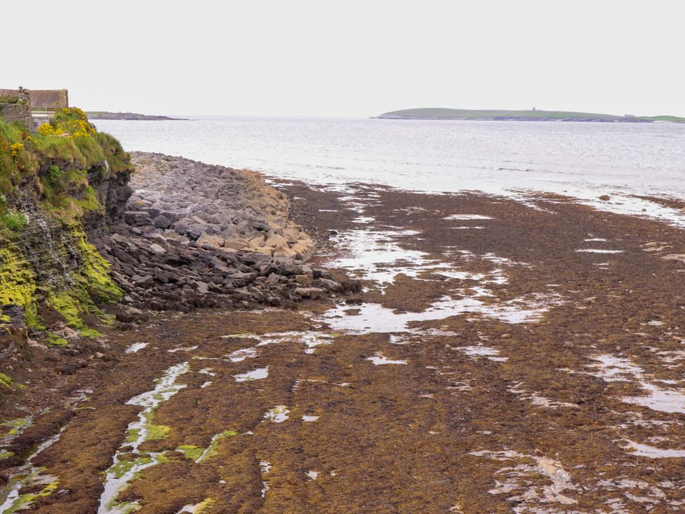 A rocky shore with seaweed and a distant island at The Farmhouse in Tralee, County Kerry