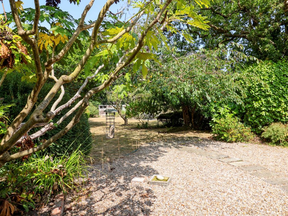 A garden with a tree and gravel pathway at Smugglers Cottage in Barton On Sea