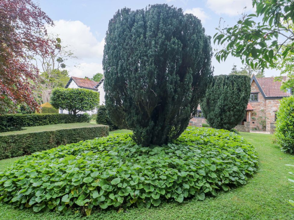 A garden with a large bush and a house in the background at Stowey Mead Stables in Bishop Sutton