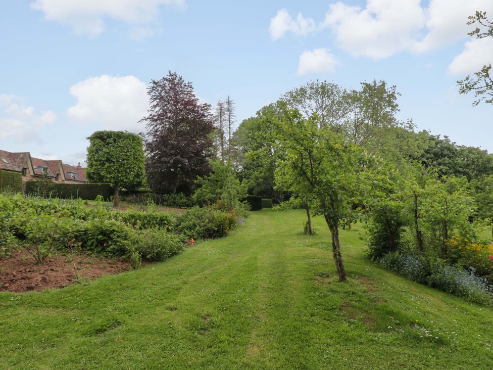 A garden with trees and a pathway at Stowey Mead Stables Bishop Sutton