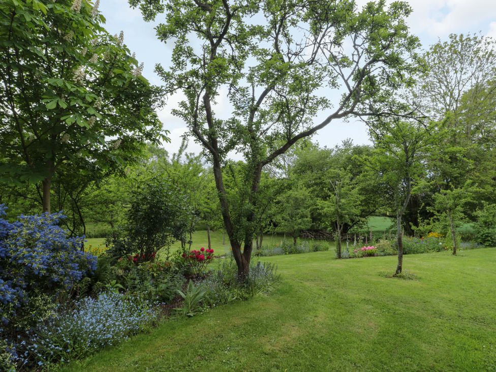 A garden with trees and flowers at Stowey Mead Stables Bishop Sutton