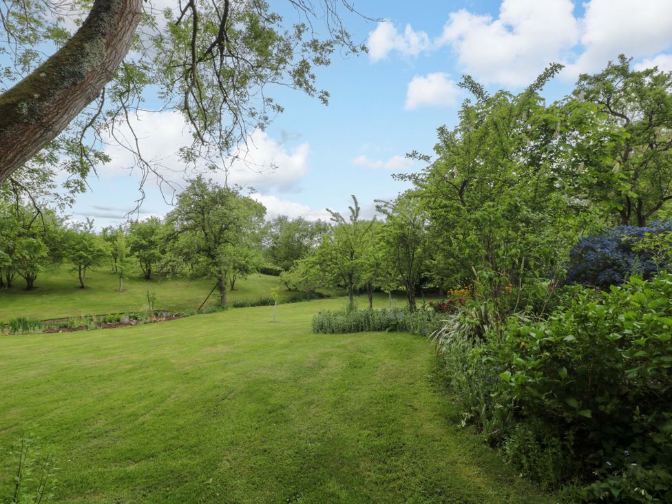 A garden with trees and grass at Stowey Mead Stables in Bishop Sutton