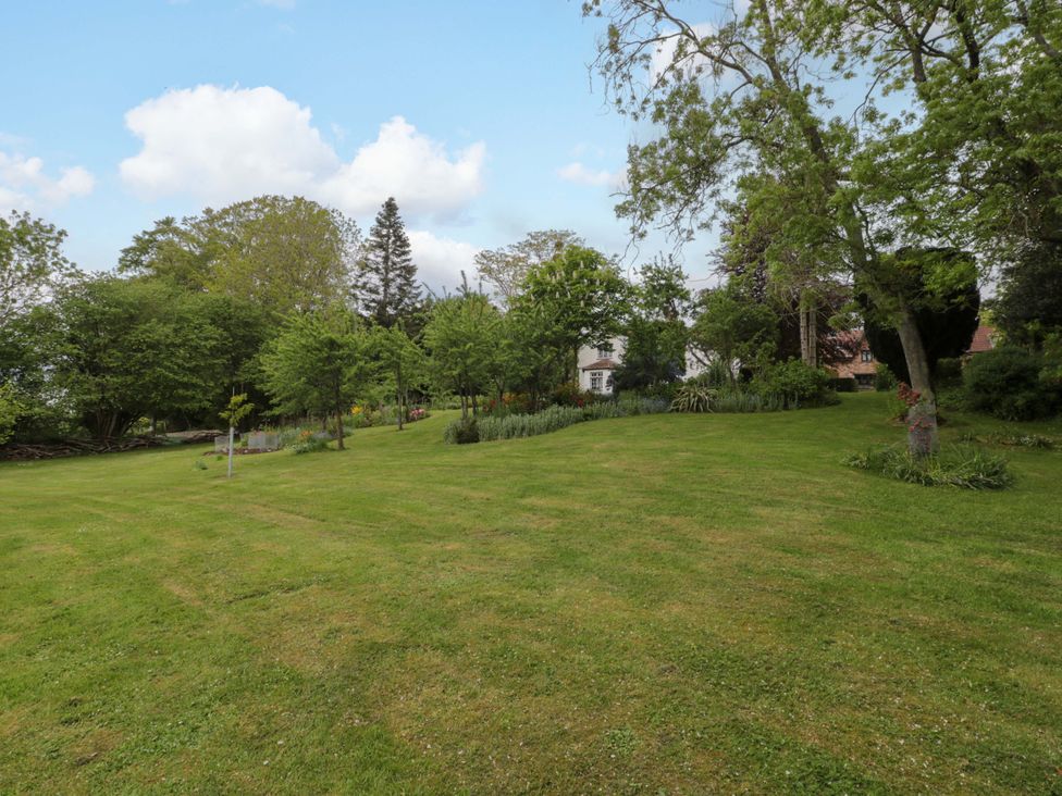 A garden with grass and trees at Stowey Mead Stables Bishop Sutton